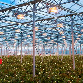 Климатические системы Климатические системы